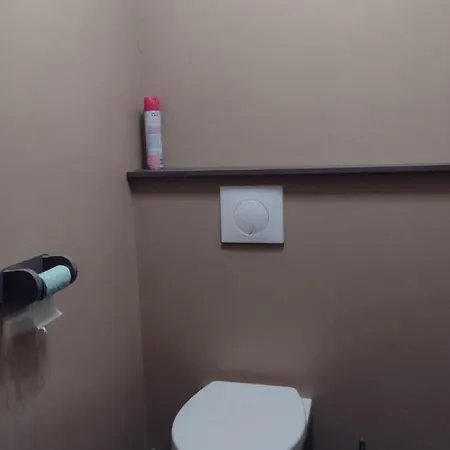 Chaleureux Avec Jardin, Bbq, Wifi Et Equipements Modernes En Plein Coeur De - Fr-1-510-210