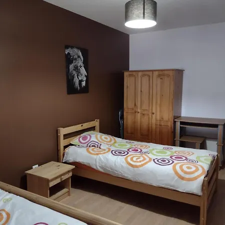 Nyaraló Chaleureux Avec Jardin, Bbq, Wifi Et Equipements Modernes En Plein Coeur De - Fr-1-510-210