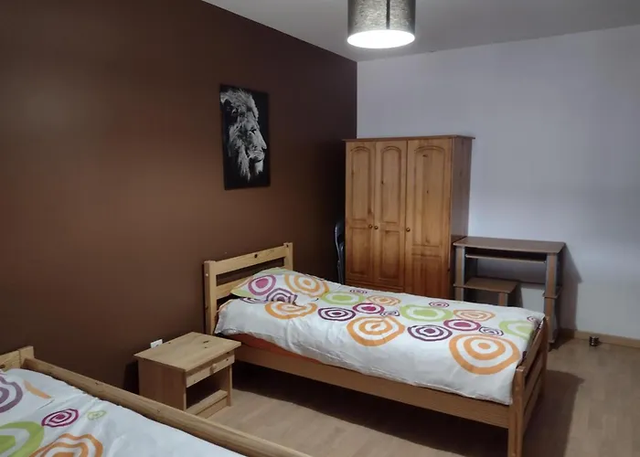 Hébergement de vacances Chaleureux Avec Jardin, Bbq, Wifi Et équipements Modernes En Plein Cœur De Verchain-maugré - Fr-1-510-210